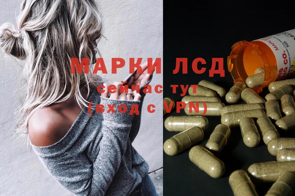 a pvp Алзамай