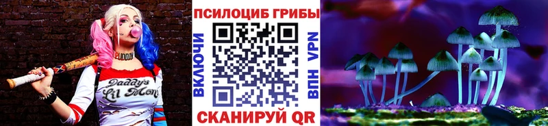 купить закладку Щёлкино MEGA зеркало Псилоцибиновые грибы ЛСД