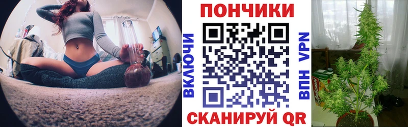 Каннабис VHQ mega как зайти Щёлкино